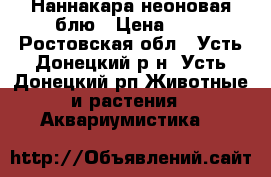 Наннакара неоновая блю › Цена ­ 1 - Ростовская обл., Усть-Донецкий р-н, Усть-Донецкий рп Животные и растения » Аквариумистика   